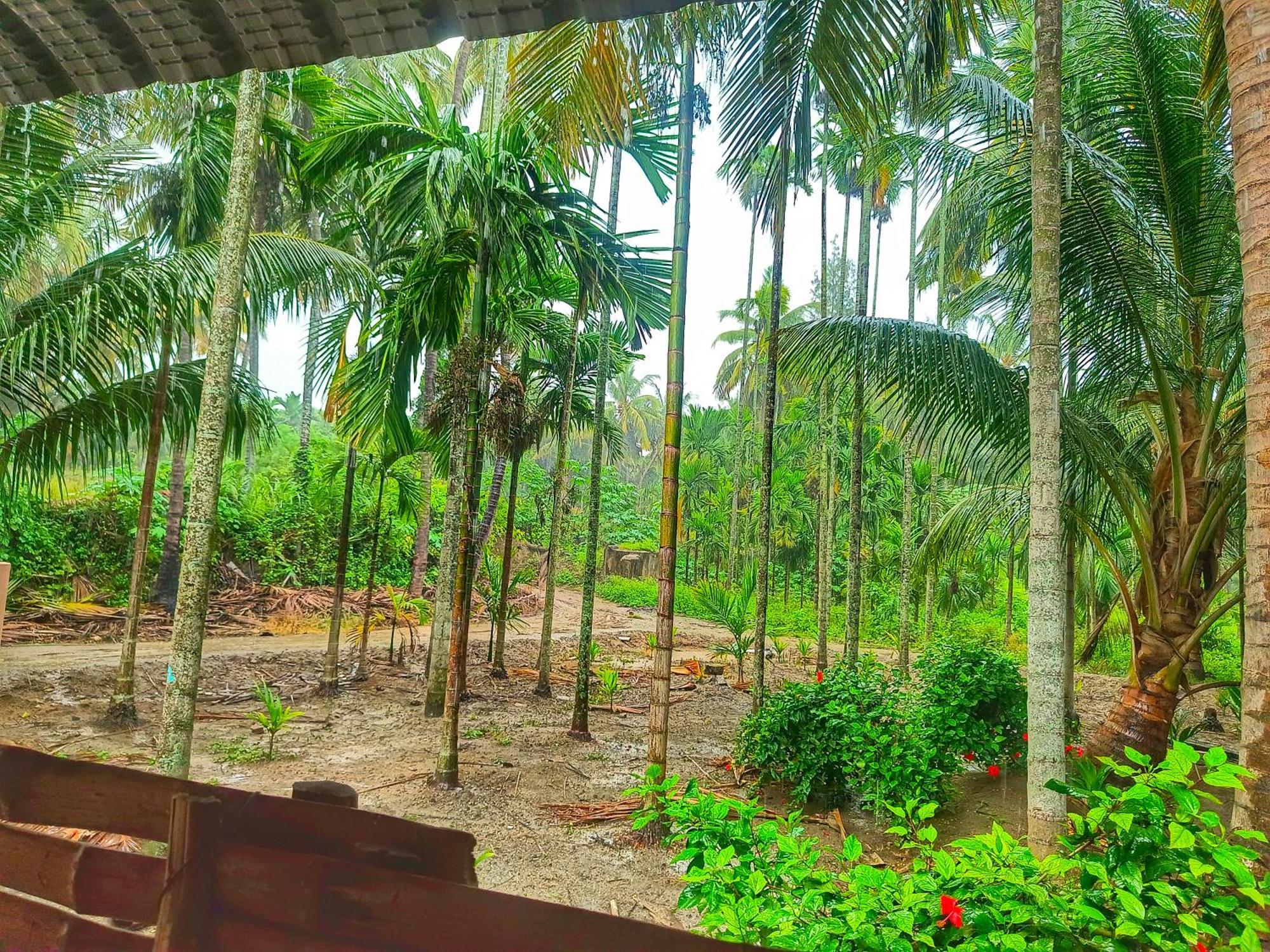 Alāndurai Shivalaya Farmstay Located Amdist Coconut Farm With River Access Near Isha,Adiyogi,Siruvani מראה חיצוני תמונה