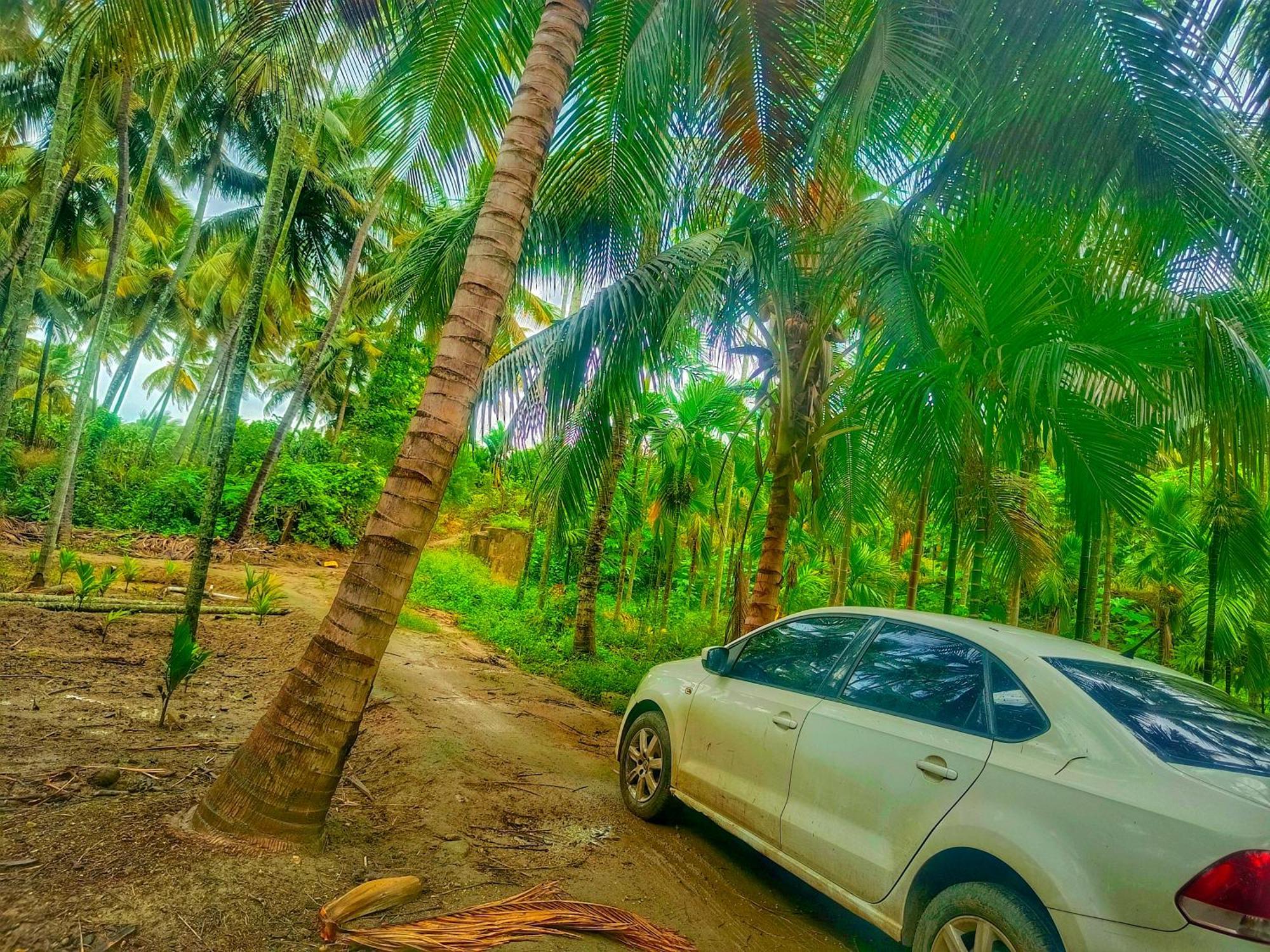 Alāndurai Shivalaya Farmstay Located Amdist Coconut Farm With River Access Near Isha,Adiyogi,Siruvani מראה חיצוני תמונה